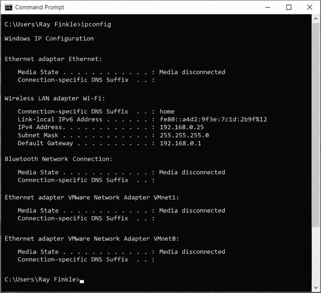 Windows Command Prompt showing ipconfig all results for fictional user Ray Finkle, including IPv4 address, subnet mask, gateway, DNS servers, DHCP status, and network adapter information.