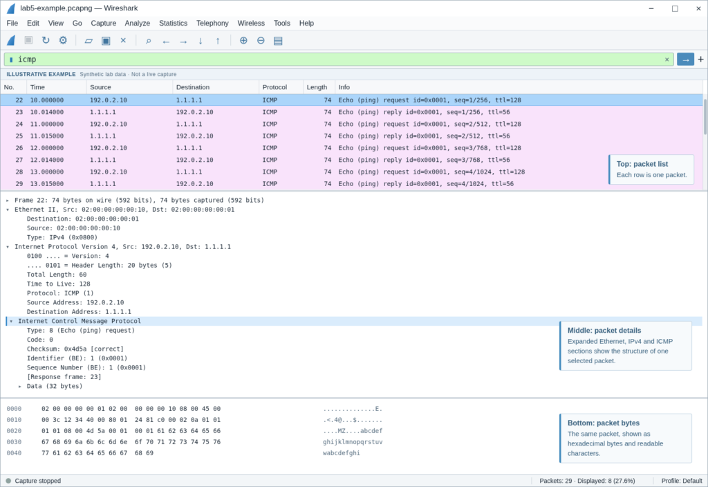 Basic Network Packets with Wireshark